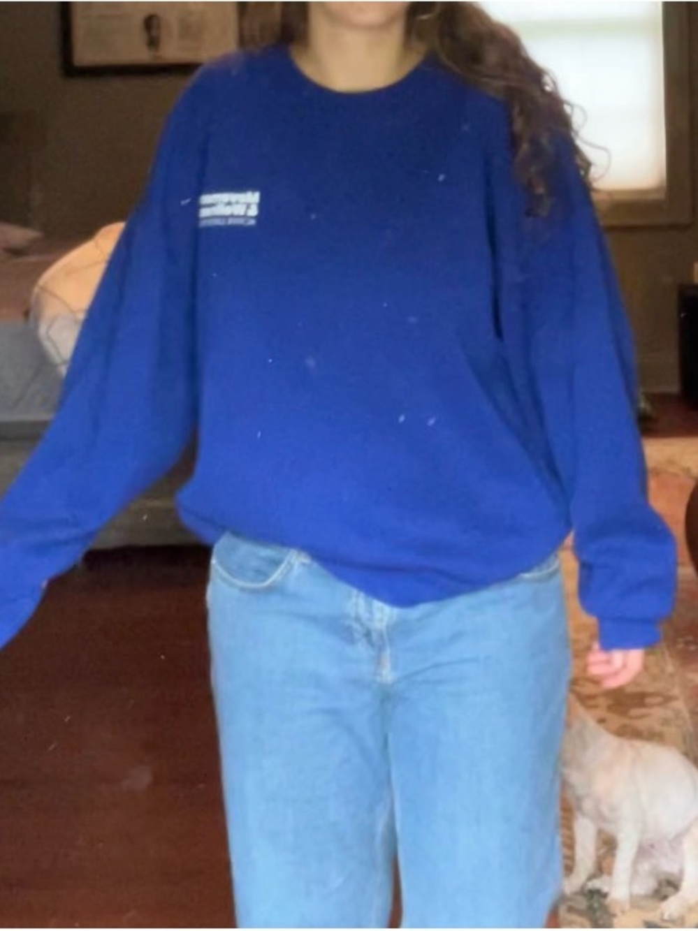 Gina Tricot Royal Blue Crewneck Sweater
